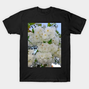 Lovely White Flowers In The Spring T-Shirt